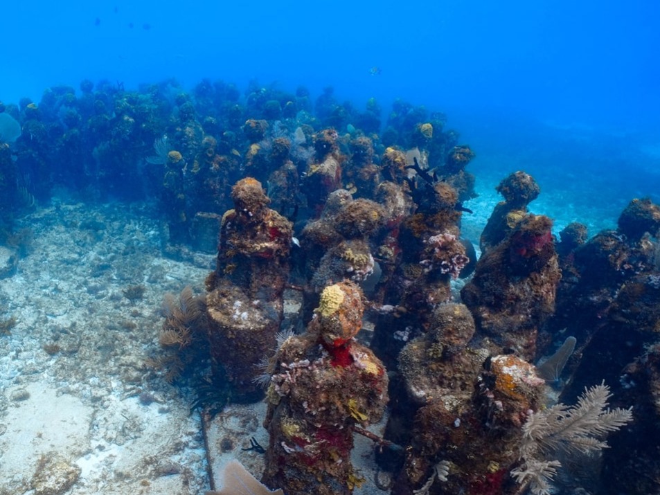 Snorkeling At The Underwater Art Museum In Cancun Musa